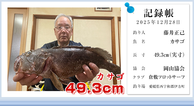 ���䐳�� ���R �q�~�c���b�g�T�[�t �J�T�S 49.3	12��28�� ���Q�����F�a�S�ɕ���